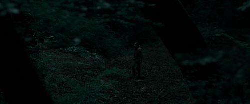 RdM1-Potterish7162.jpg