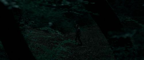 Click to view full size image
==============
RdM1-Potterish7163.jpg RdM1-Potterish7163.jpg