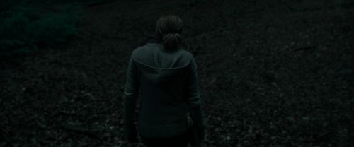 RdM1-Potterish7166.jpg