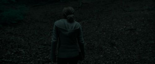 RdM1-Potterish7170.jpg