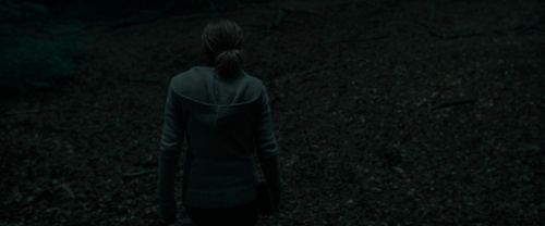 RdM1-Potterish7171.jpg