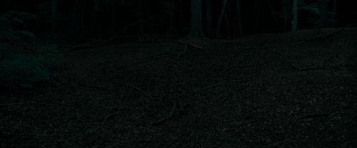RdM1-Potterish7183.jpg
