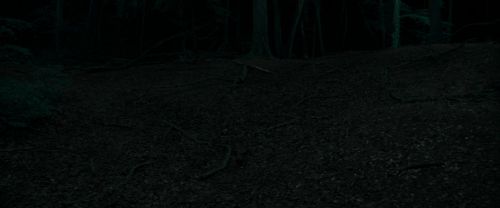 Click to view full size image
==============
RdM1-Potterish7184.jpg RdM1-Potterish7184.jpg