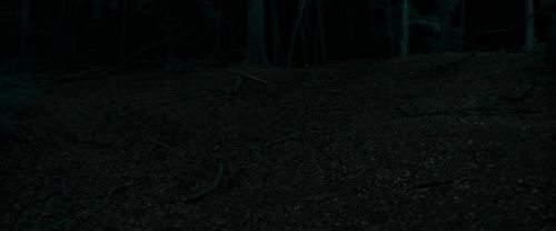 RdM1-Potterish7185.jpg