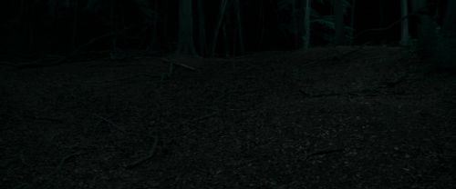 RdM1-Potterish7186.jpg