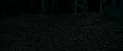 RdM1-Potterish7187.jpg