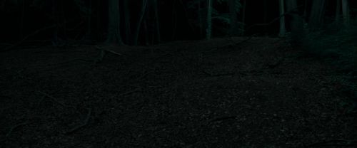RdM1-Potterish7188.jpg