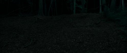RdM1-Potterish7189.jpg