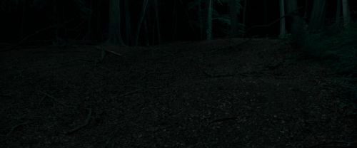 RdM1-Potterish7190.jpg
