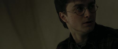 RdM1-Potterish7220.jpg
