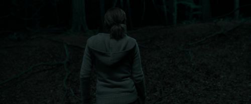 RdM1-Potterish7225.jpg