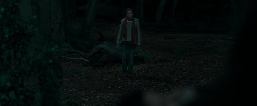 RdM1-Potterish7237.jpg