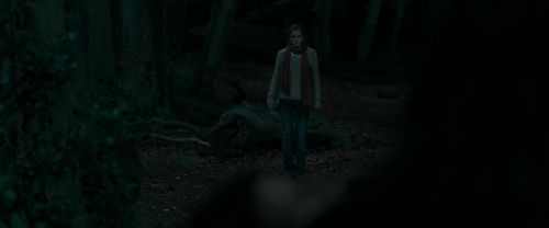 RdM1-Potterish7238.jpg