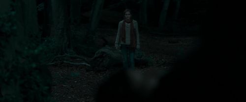 Click to view full size image
==============
RdM1-Potterish7239.jpg RdM1-Potterish7239.jpg