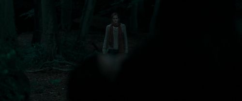 RdM1-Potterish7240.jpg