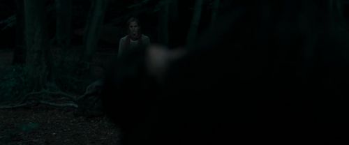 RdM1-Potterish7241.jpg