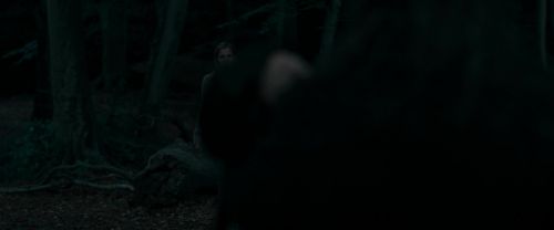RdM1-Potterish7242.jpg