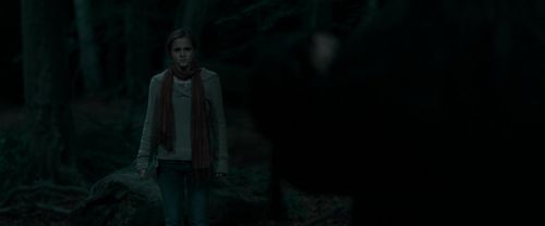 Click to view full size image
==============
RdM1-Potterish7247.jpg RdM1-Potterish7247.jpg