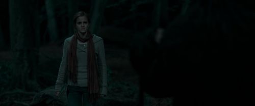 RdM1-Potterish7249.jpg