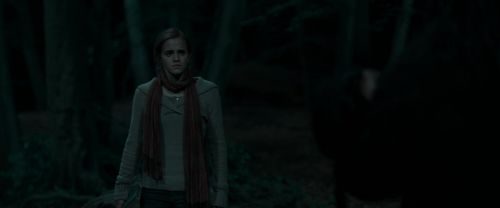 RdM1-Potterish7250.jpg
