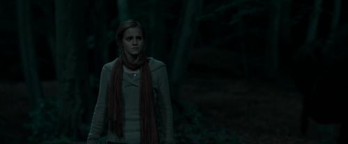 RdM1-Potterish7251.jpg
