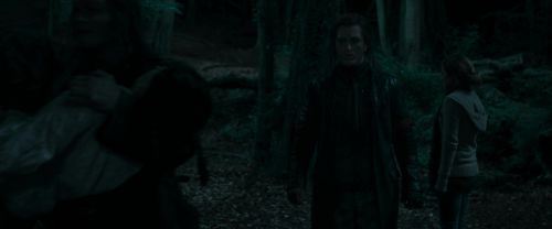 RdM1-Potterish7255.jpg