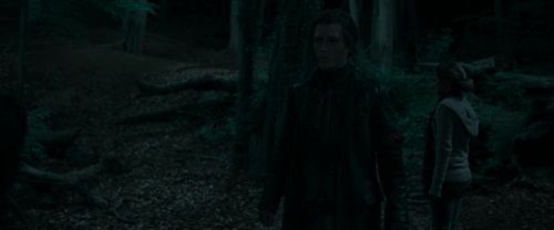 RdM1-Potterish7256.jpg