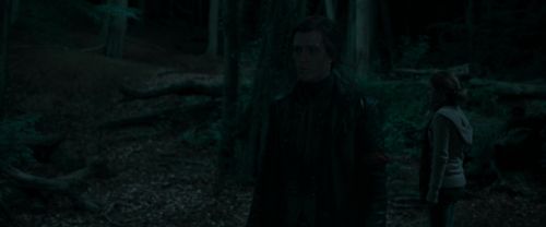 RdM1-Potterish7257.jpg