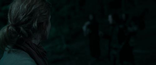 RdM1-Potterish7264.jpg