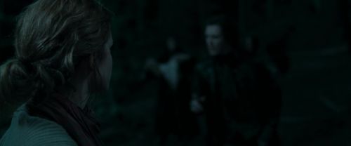 RdM1-Potterish7269.jpg