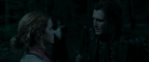 RdM1-Potterish7315.jpg