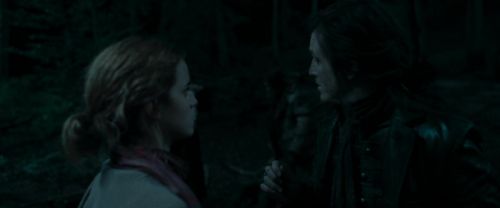 RdM1-Potterish7317.jpg