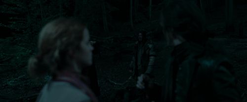 Click to view full size image
==============
RdM1-Potterish7319.jpg RdM1-Potterish7319.jpg