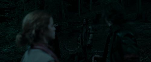 RdM1-Potterish7320.jpg