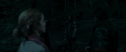 RdM1-Potterish7321.jpg