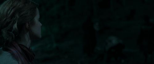 RdM1-Potterish7335.jpg