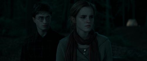 RdM1-Potterish7364.jpg