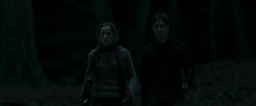 RdM1-Potterish7373.jpg