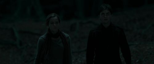 RdM1-Potterish7378.jpg