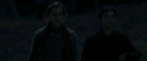 RdM1-Potterish7381.jpg