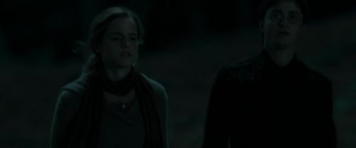 RdM1-Potterish7382.jpg