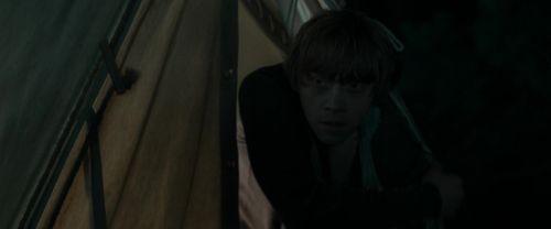 RdM1-Potterish7391.jpg