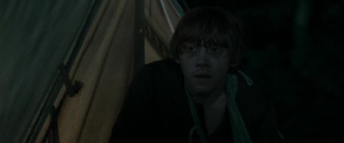 Click to view full size image
==============
RdM1-Potterish7392.jpg RdM1-Potterish7392.jpg
