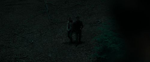 RdM1-Potterish7397.jpg