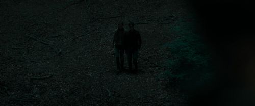 RdM1-Potterish7399.jpg