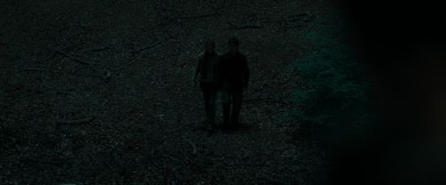 RdM1-Potterish7400.jpg
