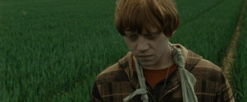 RdM1-Potterish7420.jpg