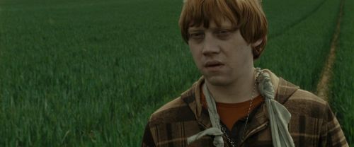 RdM1-Potterish7424.jpg