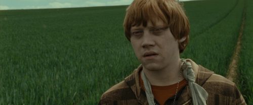 Click to view full size image
==============
RdM1-Potterish7426.jpg RdM1-Potterish7426.jpg