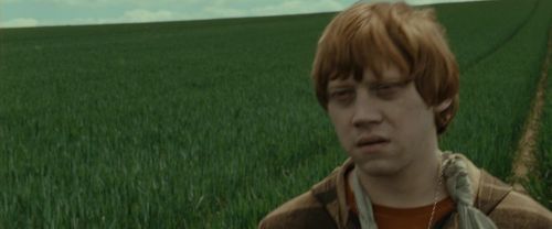 Click to view full size image
==============
RdM1-Potterish7427.jpg RdM1-Potterish7427.jpg